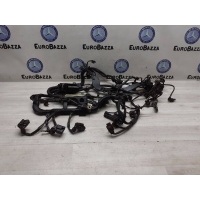 Проводка двигателя Mercedes М272 Mercedes W219 CLS 2004-2011 A2720109902