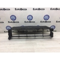 Накладка радиатора Mercedes R171 Mercedes W171 SLK 2004-2011 A1715050230