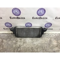 Интеркулер Mercedes W164 Mercedes W164 ML 2005-2011 A1645001900