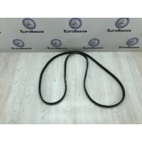 Приводной ремень Mercedes М113 Mercedes W215 CL 1999-2006 A0119979792