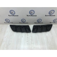 Решетка капота Mercedes W164 Mercedes W164 ML 2005-2011 A1648800105