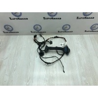 Проводка двери передней правой Mercedes W164 Mercedes W164 ML 2005-2011 A1645405806