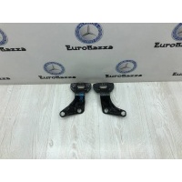 Петля крышки багажника Mercedes X164 Mercedes X164 GL 2006-2012 A1647401037