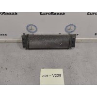 Интеркулер Mercedes W906 Mercedes Sprinter W906 2006> A9065010101