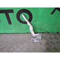 петля капота Chery Tiggo 7 Pro T1E 2020-нв J268402030DY, J268402030, 4