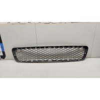 Решетка в бампер центральная BMW X5 E70 (2007 - 2013) 51117163956