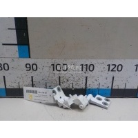 Петля двери багажника нижняя Citroen-Peugeot Berlingo (M59) (2002 - 2012) 871770