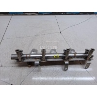 Рейка топливная (рампа) VAG Tiguan (2007 - 2011) 06J133317J