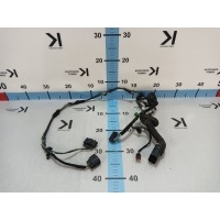 Проводка двери Ford Focus CB8 2015 1913385, F1ET14240LEF