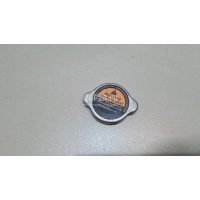 Крышка радиатора Nissan XTerra (N50) (2005 - 2015) 21430C991A