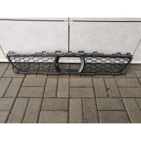 Заглушка (решетка) в бампер передний BMW X7 g07 2019 51118069888
