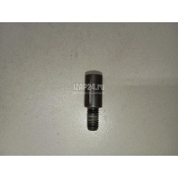 Болт BMW 3-serie E92/E93 (2006 - 2012) 11317797900
