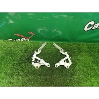 Петли капота BMW 3 E90 2007 41617210677