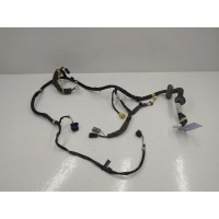 Проводка двери Renault Kadjar 1 (2015-2018) 2016 241251894R