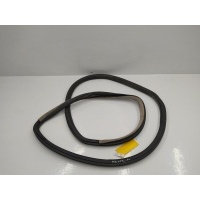 Уплотнитель Volkswagen Golf-4 2000 1J9867368C