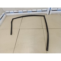 Уплотнитель стекла двери KIA Soul 2009-2014 835302K500