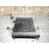 Интеркулер Kia Carnival UP/GQ 2005 0K55313550,OK55313550