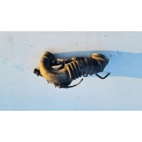 Volkswagen oe 058 133 356 j провода впускной , фильтр воздушный