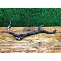 Трубка топливная Volkswagen Passat B6 2007 3C0130295D, 3C012739F