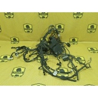 Проводка подкапотная Nissan Qashqai J11 2014 240124EJ1C, 240724EA2A