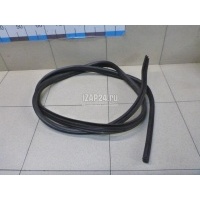 Уплотнитель двери Renault Sandero (2009 - 2014) 8200733171