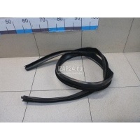 Уплотнитель стекла двери Renault Sandero (2009 - 2014) 8200733155