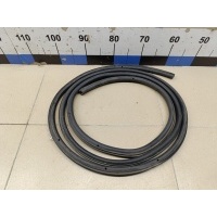 Уплотнитель двери FORD Focus II 2005-2008 1495865