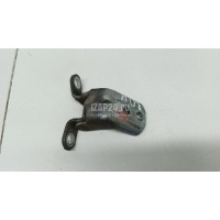Петля двери Nissan Qashqai+2 (JJ10) (2008 - 2014) 824202F030