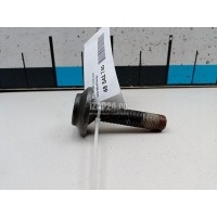 Болт VAG A4 [B8] Allroad (2009 - 2015) 8E0407643B