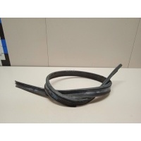 Уплотнитель капота BMW 3-serie F30/F31/F80 (2011 - 2020) 51767255802