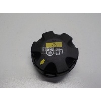 Крышка расширительного бачка BMW 6-serie F12/F13 (2010 - 2017) 17117639021