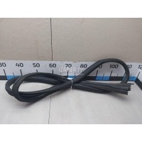 Уплотнитель двери Renault Duster 2012 769230024R
