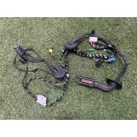 Проводка двери Porsche Cayenne E3 9Y 959 2019 9Y0971162GT, 9Y0971162GT, 9y0971162bl, 9Y0971161AP
