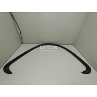 Уплотнитель двери BMW X5 F15/F85 (2013 - 2018) 51767294464
