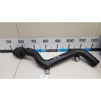 Патрубок интеркулера Ford Kuga (2012 - 2019) 2125825