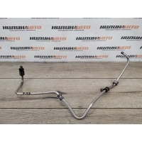 Трубка масляная Volkswagen Passat B6 2006 038145771AG