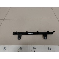 Рейка топливная (рампа) Renault Renault Sandero 2009-2014 8200494284