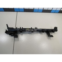 Рейка топливная (рампа) Ford EcoSport 2013 8A6G9H487CB