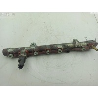 Рампа (рейка) топливная Renault Scenic II (2003-2009) 2006 8200396999