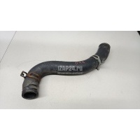 Патрубок радиатора Hyundai-Kia Sorento III Prime (2015 - 2020) 25410C5100