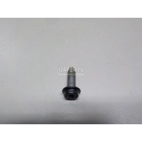 Болт крепления дверной петли VAG A5/S5 (F5) 2017 WHT007978