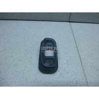 Пыльник (кузов внутри) Renault Scenic IV 2016 808946414R