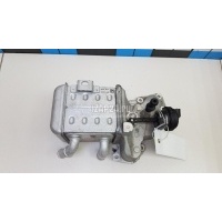 Радиатор системы EGR Hyundai-Kia Santa Fe (TM) 2018 284162R100
