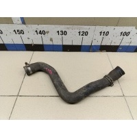 Патрубок радиатора FORD Focus II 2008-2011 1490677
