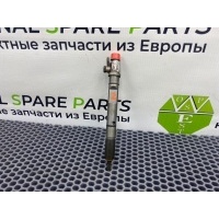 Форсунка топливная Audi A6 C5 Avant Quattro 2004 059130201F, 059130201, 0432133795, 385E