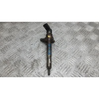 Форсунка дизельная NISSAN QASHQAI (2007-2012) 2009 H8200294788, 8200842205