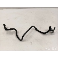 Трубка вакуумная Volkswagen Tiguan 2 2021 04L129456E