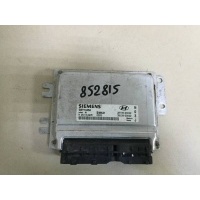 Блок управления двигателем Hyundai Hyundai Elantra (XD) 2000-2005 3910923022