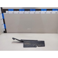 Пыльник (кузов наружные) Toyota RAV 4 2019 533890R060