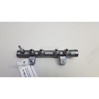 Рейка топливная (рампа) Hyundai-Kia Tucson 2021 314002R000